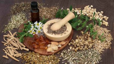 7+ Rekomendasi Obat Herbal Untuk Meredakan Asam Urat